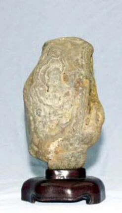 8"x4" Suiseki "Keisho-seki" Object Viewing Stone 30-05