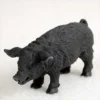 Pig Black Bonsai Tree Figurine
