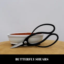 Home Decor Items Store -Home Decor Items Store BUTTERFLY SHEARS 82979.1667940055