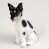 Rat Terrier Bonsai Tree Figurine
