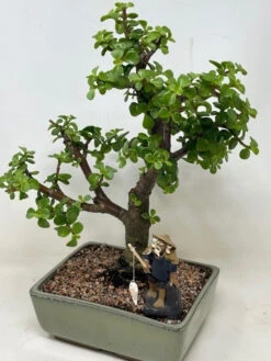 Chinese Figurine - Man Standing Fishing Off Of A Rock (F-023) 8 Chinese Figurine - Man Standing Fishing Off Of A Rock (F-023) -Home Decor Items Store F 023C 99046.1630012410