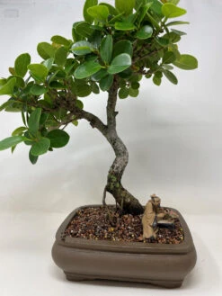 Chinese Figurine - Wu Shaman (F-084) -Home Decor Items Store F 084C 78635.1630004452