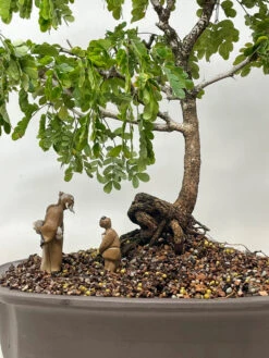 Chinese Figurine - Mudman & Son (F-093) -Home Decor Items Store F 093C 06171.1630017485