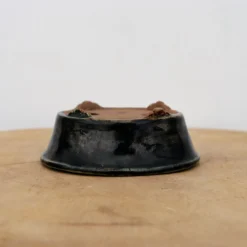 4" Japanese Tokoname Pot - Tani Ranzan (No. 1320) -Home Decor Items Store IMG 0063 43951.1680195969