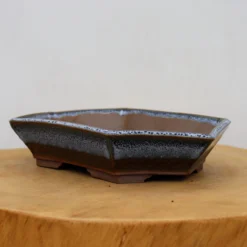 9" Sean Guo Handmade Pot (No. 79)