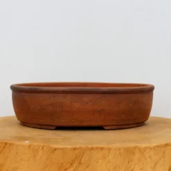 9" Handmade Pot By Paul Olson (No. 373) -Home Decor Items Store IMG 0622 83092.1682166463