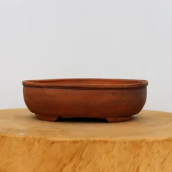 7" Handmade Planter By Paul Olson (No. 376) -Home Decor Items Store IMG 0639 71530.1682166967 1