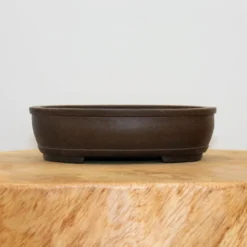 7" Yixing Bonsai Pot (No. 855) 10 7" Yixing Bonsai Pot (No. 855) -Home Decor Items Store IMG 11782 64638.1657442158
