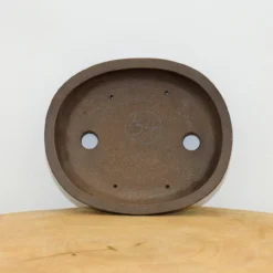 7" Yixing Bonsai Pot (No. 855) 8 7" Yixing Bonsai Pot (No. 855) -Home Decor Items Store IMG 11822 82307.1657442157