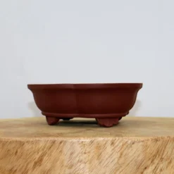 7" Yixing Bonsai Pot (No. 834) -Home Decor Items Store IMG 12862 33812.1654710049
