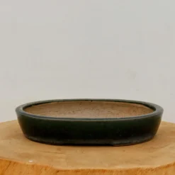 9" Glazed Tokoname Pot - Mazan(No. 1494) -Home Decor Items Store IMG 15132 65728.1693244835