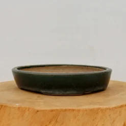 9" Glazed Tokoname Pot - Mazan(No. 1494)