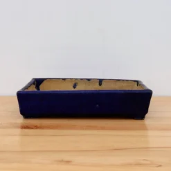 13" Glazed Tokoname Pot - Chinese Canton(No. 1496) -Home Decor Items Store IMG 1525 34652.1693245213