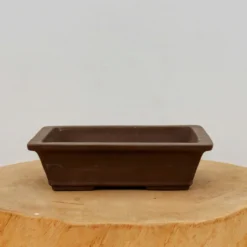 8" Unglazed Tokoname Pot - Yamaaki(No. 1497) -Home Decor Items Store IMG 15312 29541.1693245877