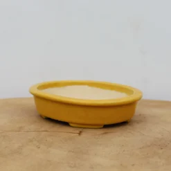 4" Glazed Tokoname Pot - Koyo(No. 1501) 11 4" Glazed Tokoname Pot - Koyo(No. 1501) -Home Decor Items Store IMG 1555 17082.1693247143