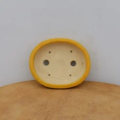 4" Glazed Tokoname Pot - Koyo(No. 1501) 8 4" Glazed Tokoname Pot - Koyo(No. 1501) -Home Decor Items Store IMG 1557 13546.1693247147