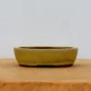 4" Glazed Tokoname Pot - Yozan(No. 1502)