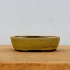 4" Glazed Tokoname Pot - Yozan(No. 1502)