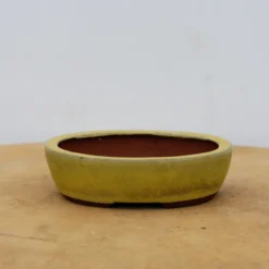 4" Glazed Tokoname Pot - Yozan(No. 1502) -Home Decor Items Store IMG 1560 56465.1693247358