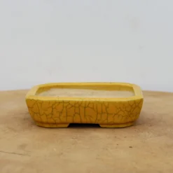 4" Glazed Tokoname Pot - Koyo(No. 1504)