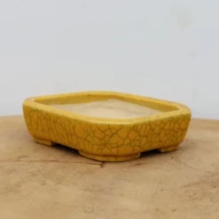 4" Glazed Tokoname Pot - Koyo(No. 1504) -Home Decor Items Store IMG 1573 44455.1693247623