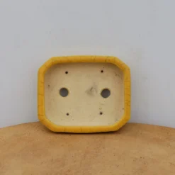 4" Glazed Tokoname Pot - Koyo(No. 1504) -Home Decor Items Store IMG 1575 68725.1693247616