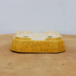 4" Glazed Tokoname Pot - Koyo(No. 1504) -Home Decor Items Store IMG 1576 08313.1693247616