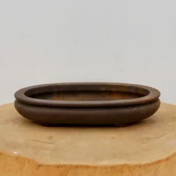 9" Unglazed Tokoname Pot - Yamaaki(No. 1506) 8 9" Unglazed Tokoname Pot - Yamaaki(No. 1506) -Home Decor Items Store IMG 15782 78942.1693325023