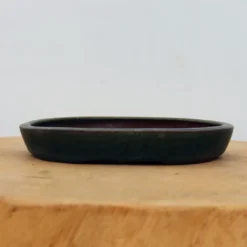6" Tokoname Bonsai Pot - Yamaaki(No. 1507)
