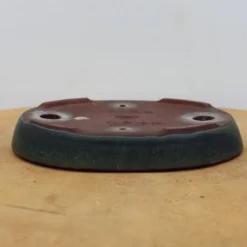 6" Tokoname Bonsai Pot - Yamaaki(No. 1507) -Home Decor Items Store IMG 1589 07756.1693325339 1