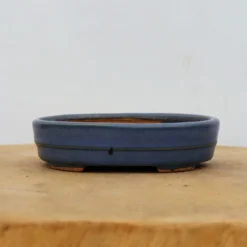 5" Tokoname Bonsai Pot - Hattori(No. 1508) -Home Decor Items Store IMG 1590 87617.1693330394