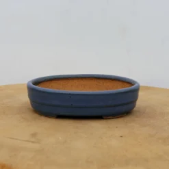 5" Tokoname Bonsai Pot - Hattori(No. 1508) -Home Decor Items Store IMG 1591 83779.1693330394