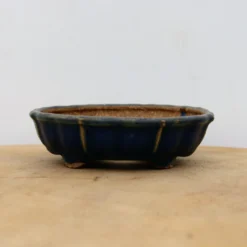 4" Tokoname Bonsai Pot - Hattori(No. 1510) -Home Decor Items Store IMG 1601 40846.1693332539