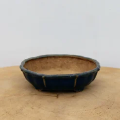 4" Tokoname Bonsai Pot - Hattori(No. 1510) -Home Decor Items Store IMG 1602 05640.1693332534 1