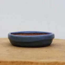 5" Glazed Tokoname Pot - Yamafusa(No. 1512)