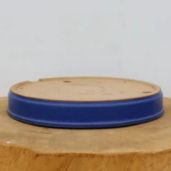 9" Tokoname Bonsai Pot - Reiho(No. 1515) 11 9" Tokoname Bonsai Pot - Reiho(No. 1515) -Home Decor Items Store IMG 1632 47237.1693333322 1