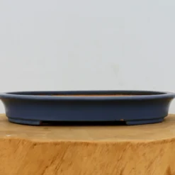 11" Tokoname Bonsai Pot - Hattori(No. 1516) -Home Decor Items Store IMG 1633 54475.1693333455