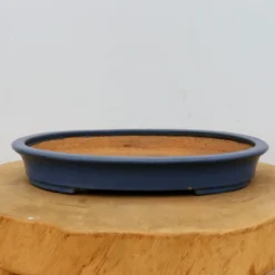 11" Tokoname Bonsai Pot - Hattori(No. 1516) -Home Decor Items Store IMG 1634 85025.1693333455 1