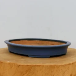 11" Tokoname Bonsai Pot - Hattori(No. 1516) -Home Decor Items Store IMG 1635 89360.1693333461