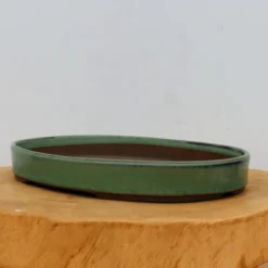 11" Tokoname Bonsai Pot - Japanese Production(No. 1517)