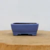 5" Tokoname Bonsai Pot - Shibakatsu (No. 1519)