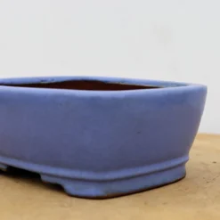 5" Tokoname Bonsai Pot - Shibakatsu (No. 1519) -Home Decor Items Store IMG 1653 61348.1693493501 1