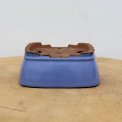 5" Tokoname Bonsai Pot - Shibakatsu (No. 1519) -Home Decor Items Store IMG 1655 51159.1693493496