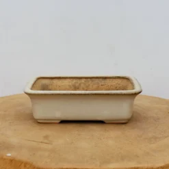 6" Tokoname Bonsai Pot - Hattori (No. 1521) -Home Decor Items Store IMG 1657 69254.1693493702