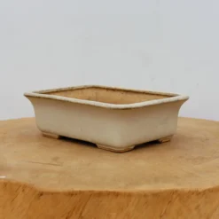 6" Tokoname Bonsai Pot - Hattori (No. 1521) -Home Decor Items Store IMG 1658 65859.1693493702