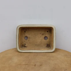 6" Tokoname Bonsai Pot - Hattori (No. 1521) -Home Decor Items Store IMG 1660 89661.1693493712