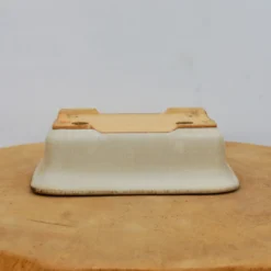 6" Tokoname Bonsai Pot - Hattori (No. 1521) -Home Decor Items Store IMG 1661 24544.1693493714