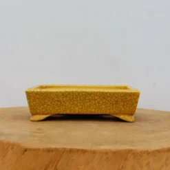 6" Tokoname Bonsai Pot - Koyo (No. 1522) 11 6" Tokoname Bonsai Pot - Koyo (No. 1522) -Home Decor Items Store IMG 1662 56241.1693494327 1