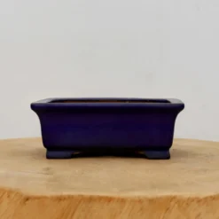 6" Tokoname Bonsai Pot - Shibakatsu (No. 1523)