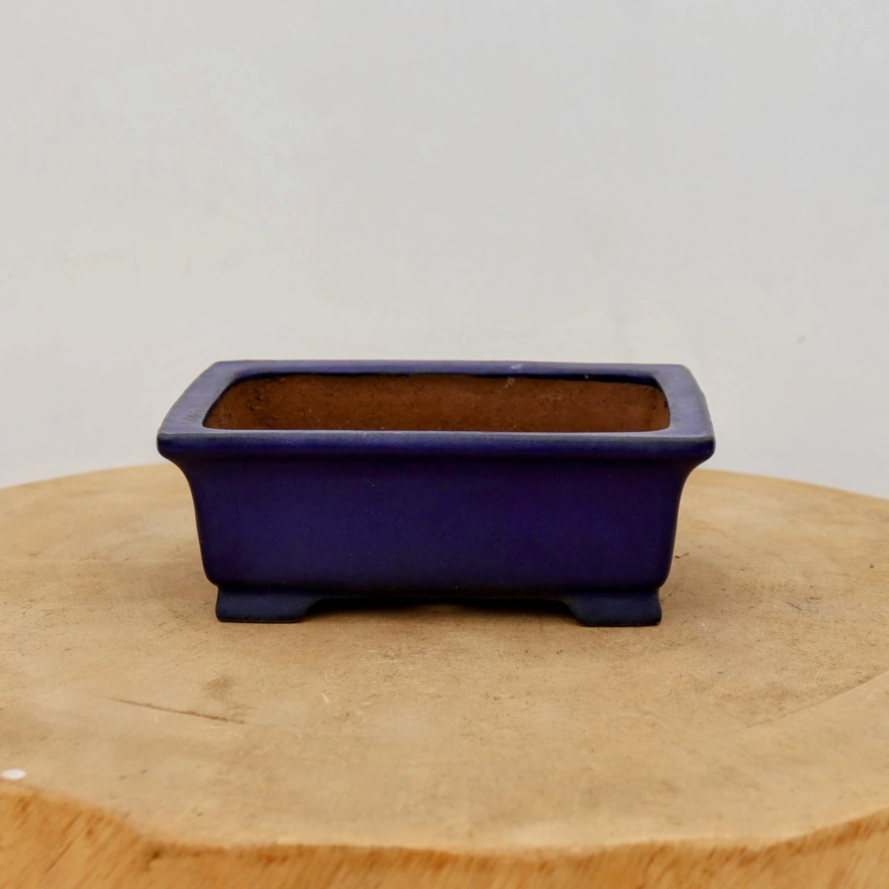 6" Tokoname Bonsai Pot - Shibakatsu (No. 1523) 4 6" Tokoname Bonsai Pot - Shibakatsu (No. 1523) - Image 4